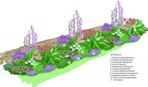 Композиции в саду своими руками из цветов. Какие растения выбрать 08