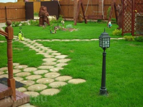 Как украсить газон на даче. Нужно ли ухаживать за газоном?