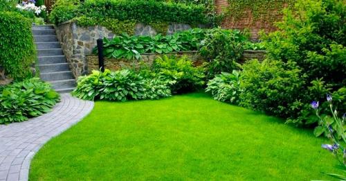 Чем засеять лужайку на даче. Какой газон лучше посадить на даче: описание и виды трав