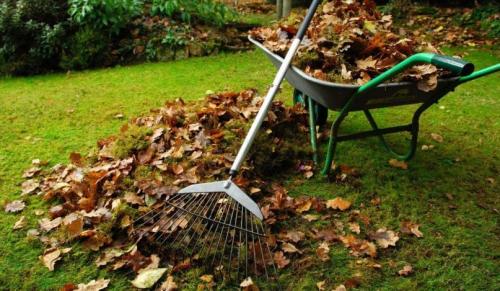 Роскошный газон для лентяев. Подбор травы для газона 04