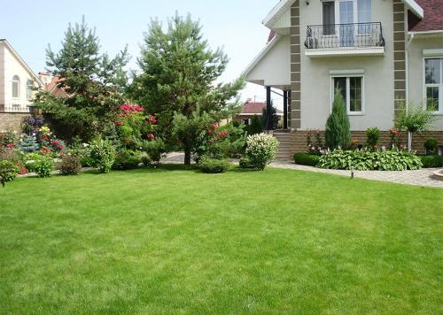 Газон на даче своими руками. Какой газон вам подходит. Типы газонов 03 Газон на даче своими руками. Какой газон вам подходит. Типы газонов 03