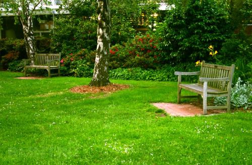 Газон на даче своими руками. Какой газон вам подходит. Типы газонов 02 Газон на даче своими руками. Какой газон вам подходит. Типы газонов 02