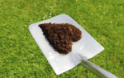 Роскошный газон для лентяев. Подбор травы для газона 08