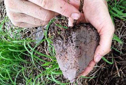 С чего начать дизайн садового участка. Ландшафтный дизайн своими руками для начинающих – первые шаги