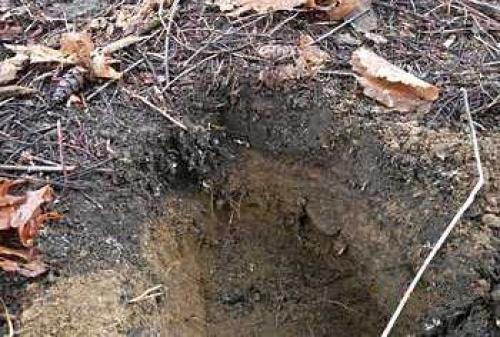 С чего начать дизайн садового участка. Ландшафтный дизайн своими руками для начинающих – первые шаги