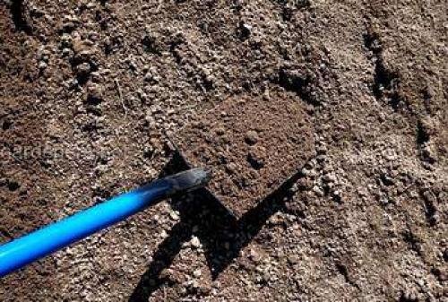 С чего начать дизайн садового участка. Ландшафтный дизайн своими руками для начинающих – первые шаги