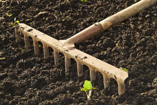 Газон посадить на даче. Подготовительные этапы посадки газона на даче