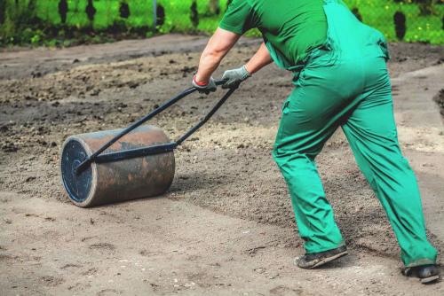 Газон посадить на даче. Подготовительные этапы посадки газона на даче