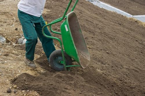 Газон посадить на даче. Подготовительные этапы посадки газона на даче