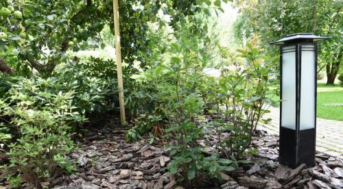 Оформление красивого газона с цветами своими.. Видов кроватей для сада 24