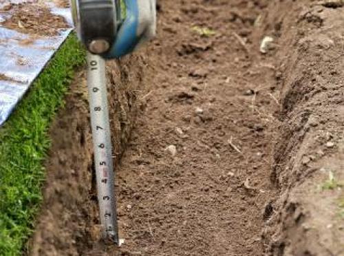 Что посадить по краю газона. Граница между газоном и клумбой – пошаговый мастер-класс