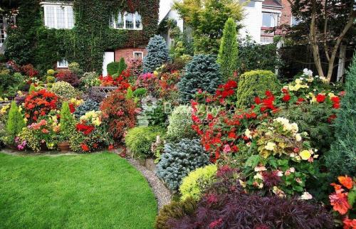 Оформление красивого газона с цветами своими.. Видов кроватей для сада