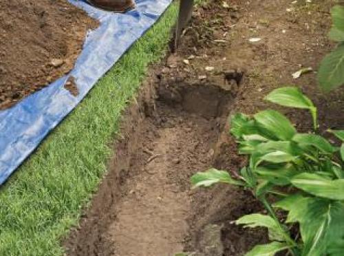 Что посадить по краю газона. Граница между газоном и клумбой – пошаговый мастер-класс