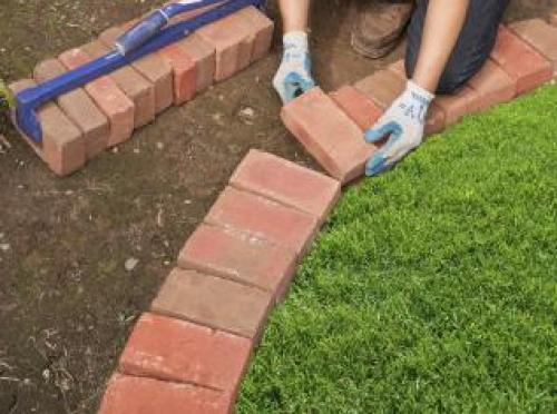 Что посадить по краю газона. Граница между газоном и клумбой – пошаговый мастер-класс