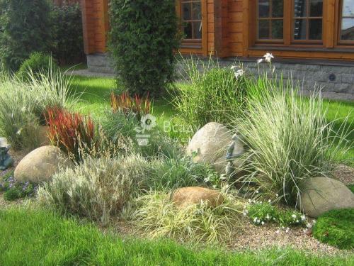 Как украсить газон на участке. Газоны и цветники на даче: фото необычных идей