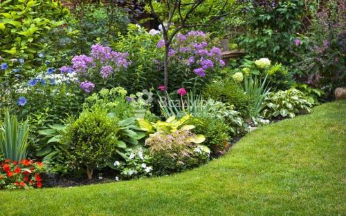 Как украсить газон на участке. Газоны и цветники на даче: фото необычных идей