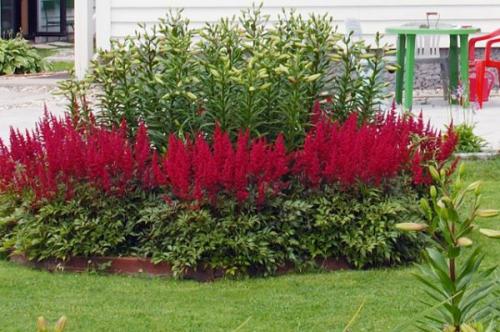 Что посадить по краю газона. Газон и его граница. Полезные советы по оформлению