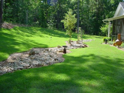 Как украсить газон на даче. Нужно ли ухаживать за газоном?