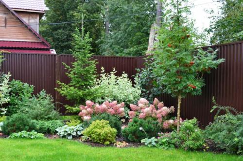 Кусты вдоль забора. Какие типы заборов нуждаются в насаждениях
