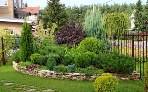 Что посадить вдоль забора со стороны улицы. Какие растения лучше высаживать на участке вдоль забора