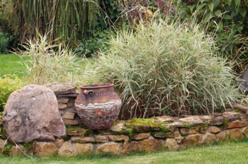 Что посадить по краю газона. Газон и его граница. Полезные советы по оформлению