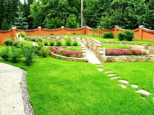 Как украсить газон на даче. Нужно ли ухаживать за газоном?