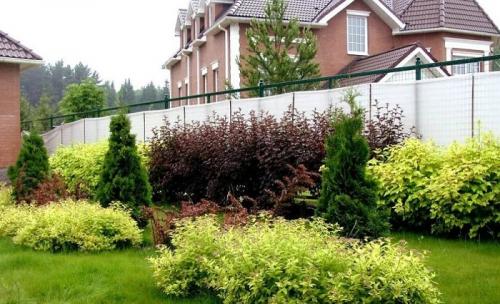 Ландшафтный дизайн вдоль забора. Кустарники вдоль забора: рекомендации по выбору