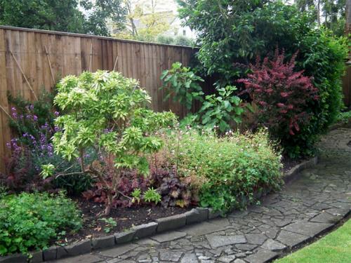 Что посадить вдоль забора со стороны улицы. Какие растения лучше высаживать на участке вдоль забора