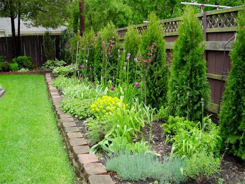 Что посадить вдоль забора со стороны улицы. Какие растения лучше высаживать на участке вдоль забора