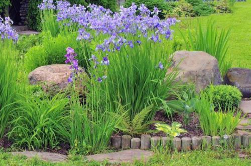 Что посадить по краю газона. Газон и его граница. Полезные советы по оформлению