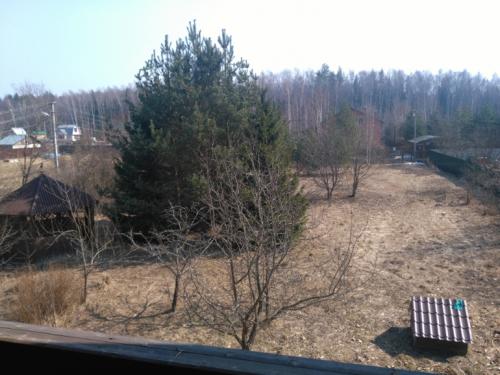 Как сделать газон на целине. Огород на целине