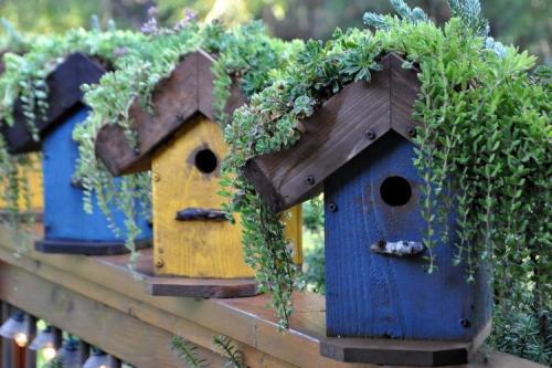 Оригинальные идеи для сада своими руками. 90 идей украшений для сада своими руками (фото)