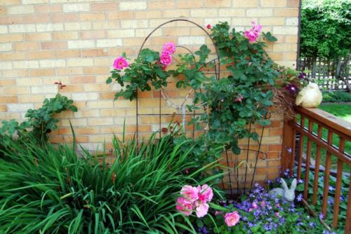 Идея для оформления сада. Оригинальных идей для красивого сада (фото) 12