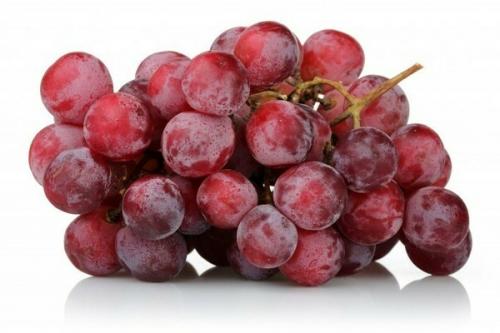 Сорта винограда для южного урала. Лучшие сорта винограда для Урала, требующие дополнительного покрова