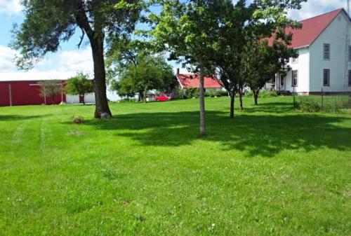 Оформление газонов на дачном участке. Выбор места