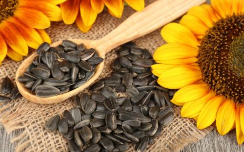 Что будет, если каждый день есть семечки. Что произойдет с организмом, если каждый день есть семечки?