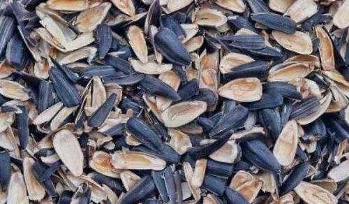 Чем полезны семечки для мужчин. Семечки подсолнуха польза и вред для мужчин