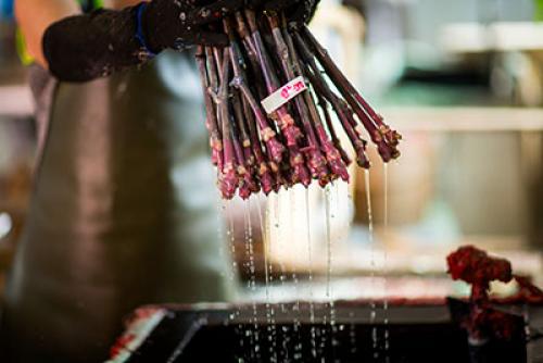 Виноград либерти описание сорта. Эти Винограды прощает ошибки, дают Отличный и Вкусный урожай даже у начинающих садоводов. Рассказываю, почему именно эти сорта 02 Виноград либерти описание сорта. Эти Винограды прощает ошибки, дают Отличный и Вкусный урожай даже у начинающих садоводов. Рассказываю, почему именно эти сорта 02