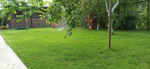 Как избавиться от сорняков перед посадкой газона. Ответ на пост «Нужен совет по даче: как уничтожить сорную траву и вырастить газонную»