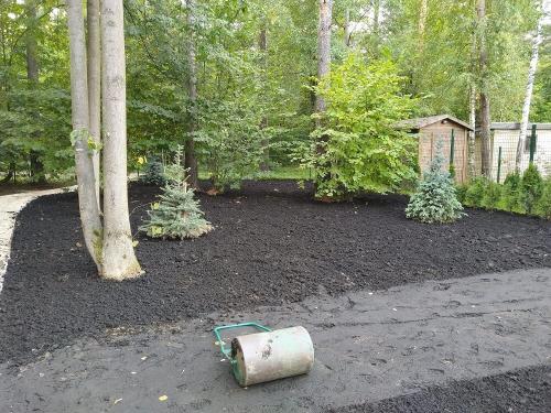 Как устроить газон на заросшем участке. Как посадить газон на заросшем участке