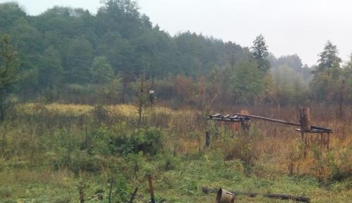 Как превратить целину в газон