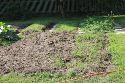 Как сделать газон на целине. Огород на целине