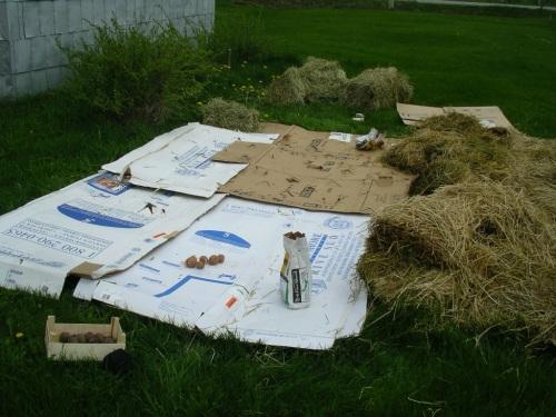 Как сделать газон на целине. Огород на целине