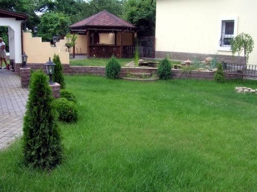 Оформление газона на даче. Разновидности газонов