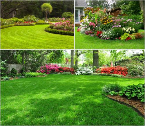 Как украсить газон на даче. Нужно ли ухаживать за газоном?