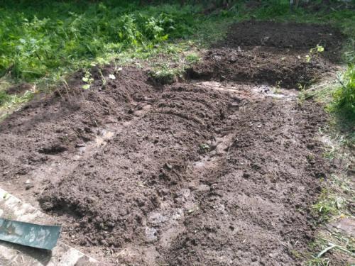 Как сделать газон на целине. Огород на целине