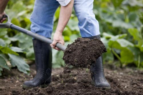 Самый простой способ посеять газон. Подготовка почвы