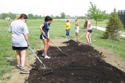 Самый простой способ посеять газон. Подготовка почвы