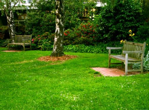 Как сеять газонную траву. От чего зависит густота посева? 11