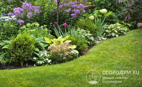 Как сеять газонную траву своими руками. Посадка газонной травы